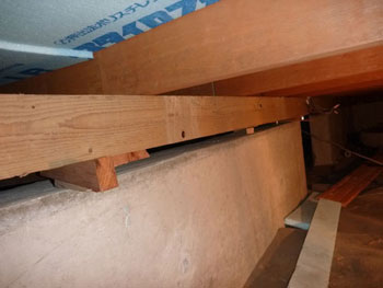 ���Ԃ𖄂߂�